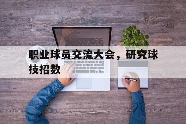 职业球员交流大会，研究球技招数
