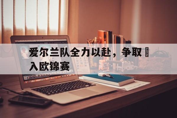 爱尔兰队全力以赴，争取進入欧锦赛的简单介绍